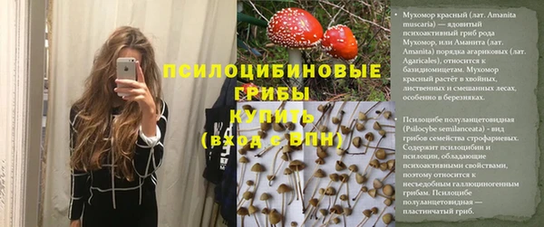 гидра Аркадак