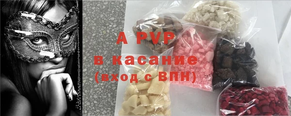 гидра Аркадак