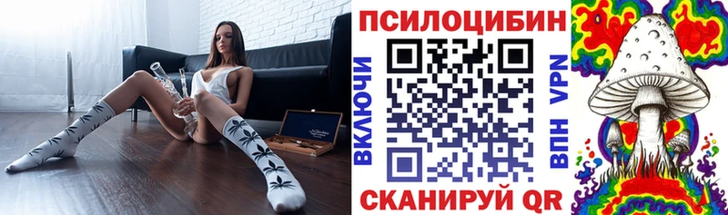маркетплейс состав  сколько стоит  ОМГ ОМГ ONION  Тында  Псилоцибиновые грибы Psilocybine cubensis 